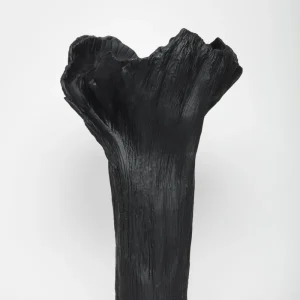 Jarra Flor Dramática Alta em
Preto